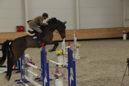 Elad� 7 �ves magyar sportl� kanca 