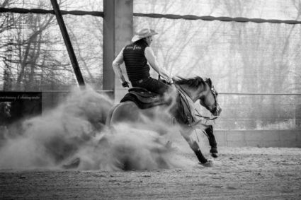 Elad� 12 �ves quarter horse kanca 