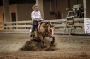 Eladó 9 éves quarter horse kanca 