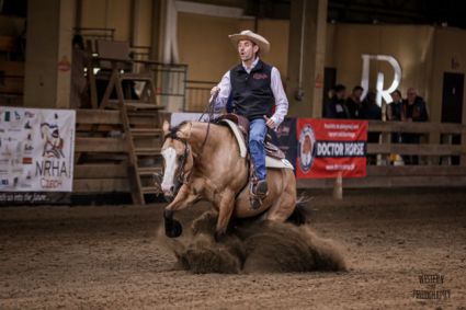 Elad� 12 �ves quarter horse kanca 