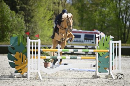 13 �ves magyar sportl� m�n 