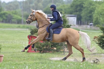 13 �ves magyar sportl� m�n 