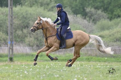 13 �ves magyar sportl� m�n 