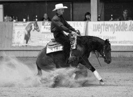 20 �ves quarter horse m�n 