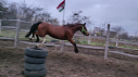 Elad 12 ves sportpni kanca 