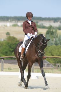 Elad� 7 �ves hannoveri her�lt 