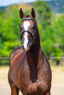 14 ves magyar sportl mn 