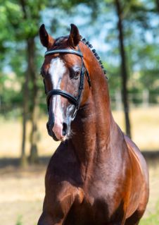 14 ves magyar sportl mn 