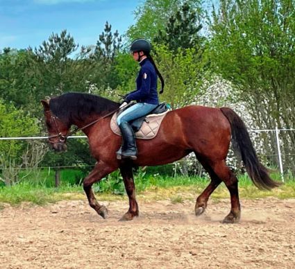 Elad� 13 �ves andal�z kanca 