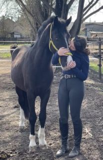 Elad� 6 �ves arab f�lv�r (arab fajta) her�lt 