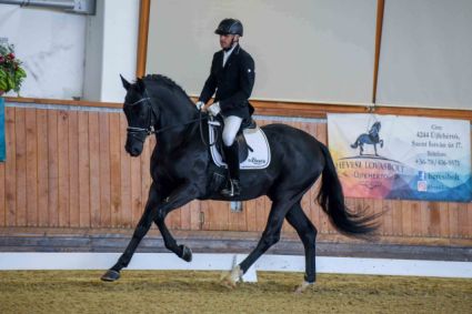 Elad� 8 �ves vesztf�liai m�n 