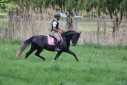Elad 4 ves aztka (azteca) mn 