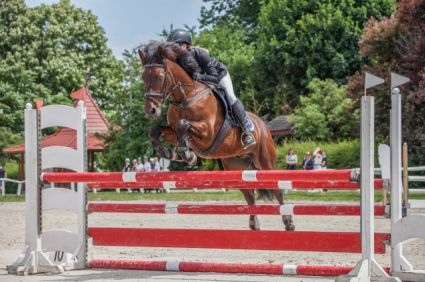 Elad� 15 �ves connemara pony her�lt 