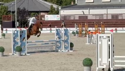 Elad 11 ves nmet sportl kanca 