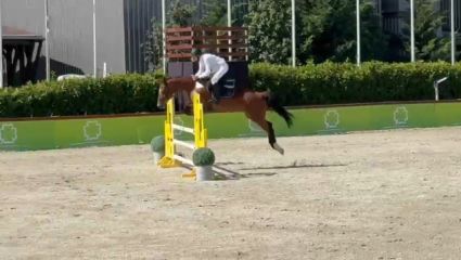 Elad 11 ves nmet sportl kanca 