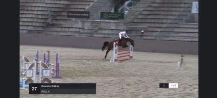 Elad 11 ves nmet sportl kanca 