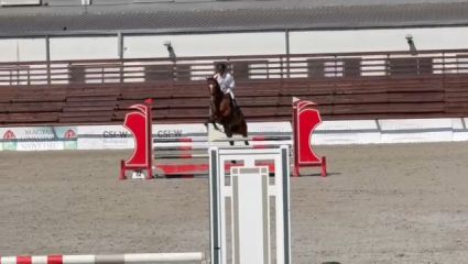 Elad 11 ves nmet sportl kanca 