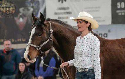 11 �ves quarter horse m�n 