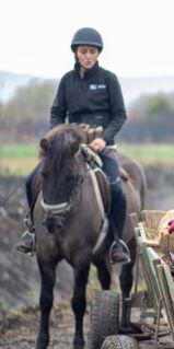 Elad� 9 �ves hucul kanca 