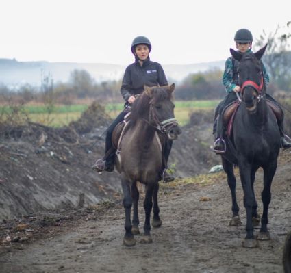 Elad� 9 �ves hucul kanca 