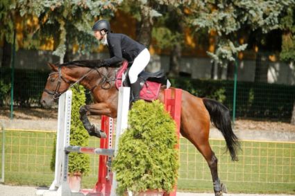 Elad� 21 �ves oldenburgi kanca 
