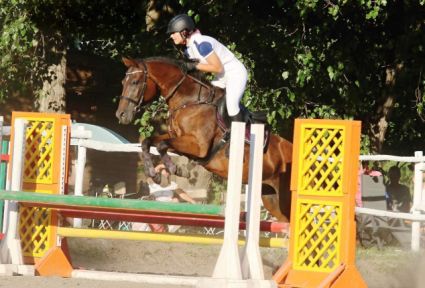 Elad� 21 �ves oldenburgi kanca 