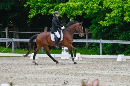 Elad� 8 �ves magyar sportf�lv�r her�lt 