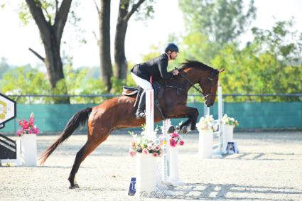 Elad� 8 �ves magyar sportf�lv�r her�lt 