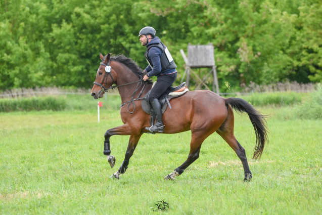 Elad� 8 �ves magyar sportf�lv�r her�lt 