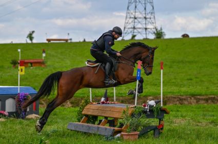 Elad� 8 �ves magyar sportf�lv�r her�lt 