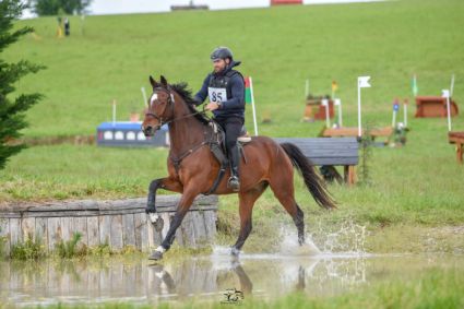 Elad� 8 �ves magyar sportf�lv�r her�lt 