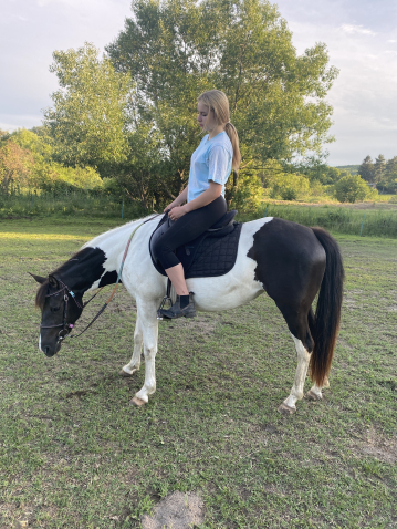 Elad� 7 �ves quarter horse kanca 