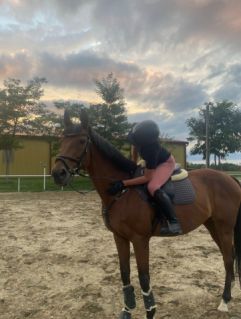 Elad� 19 �ves angol teliv�r her�lt 