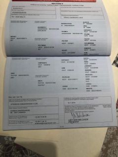 Elad� 7 �ves holland sportl�/KWPN her�lt 