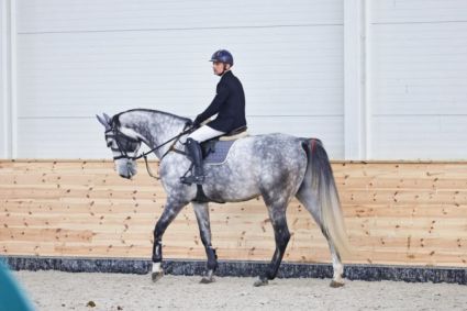 Elad 6 ves magyar sportl herlt 