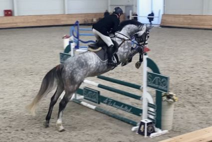 Elad 6 ves magyar sportl herlt 