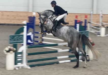 Elad 6 ves magyar sportl herlt 