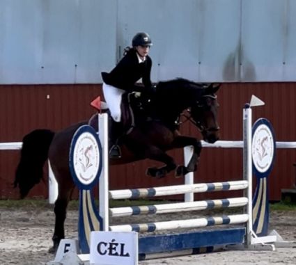 Elad� 18 �ves holsteini her�lt 