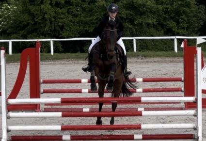 Elad� 18 �ves holsteini her�lt 