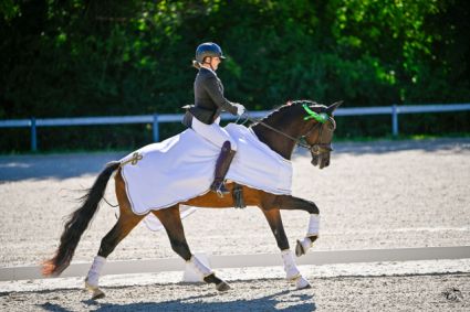 Elad� 5 �ves oldenburgi her�lt 