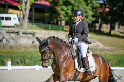 Elad� 5 �ves oldenburgi her�lt 