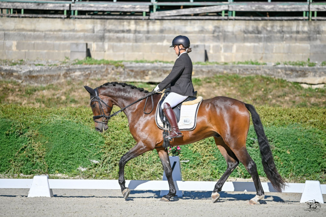 Elad� 5 �ves oldenburgi her�lt 