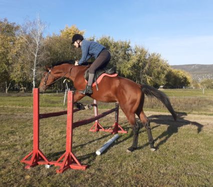 Elad� 6 �ves magyar sportf�lv�r m�n 