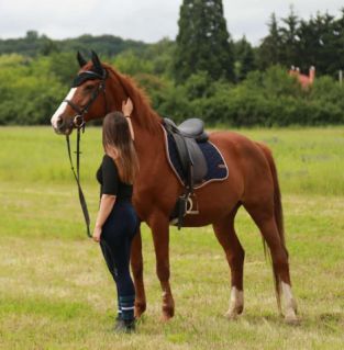 Elad 17 ves kisbri flvr kanca 