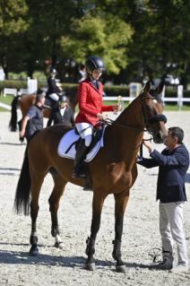 Elad 9 ves magyar sportflvr kanca 