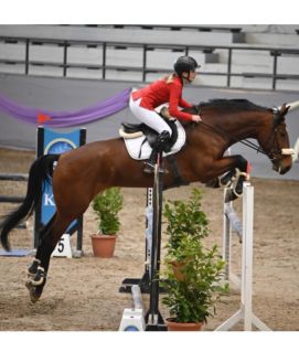 Elad 9 ves magyar sportflvr kanca 