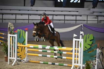 Elad 9 ves magyar sportflvr kanca 