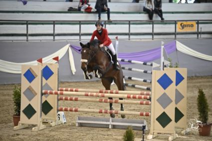 Elad 9 ves magyar sportflvr kanca 