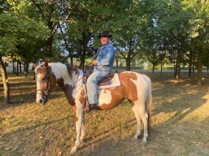 Elad� 12 �ves painthorse kanca 