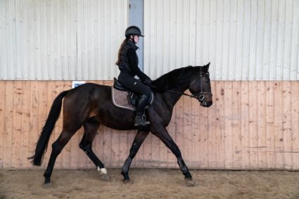 Elad� 5 �ves magyar sportl� her�lt 